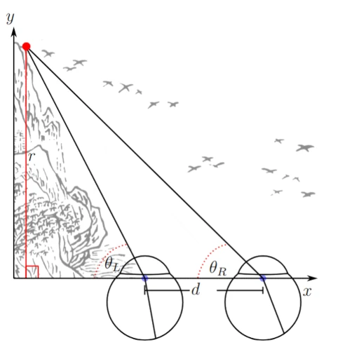 Biologically Inspired Algorithms for Visual Navigation and Object Perception in Mobile Robotics